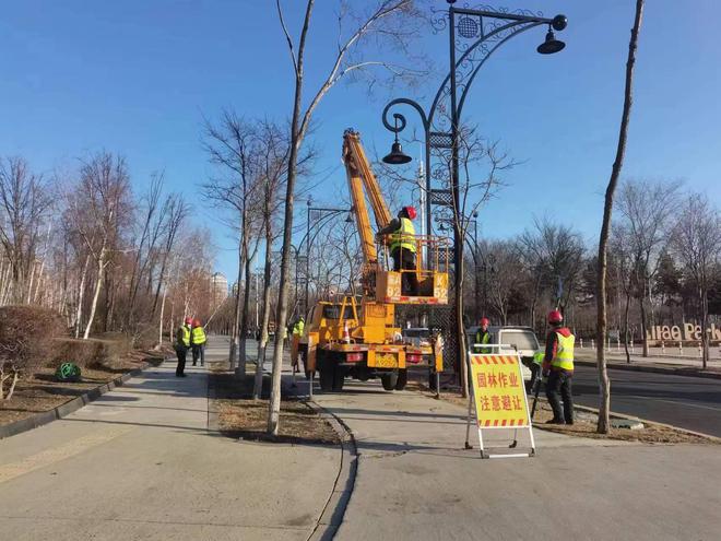 绿化街路景观和公园环境迎“五一威客电竞”！哈市启动园林绿化“春整”(图4)