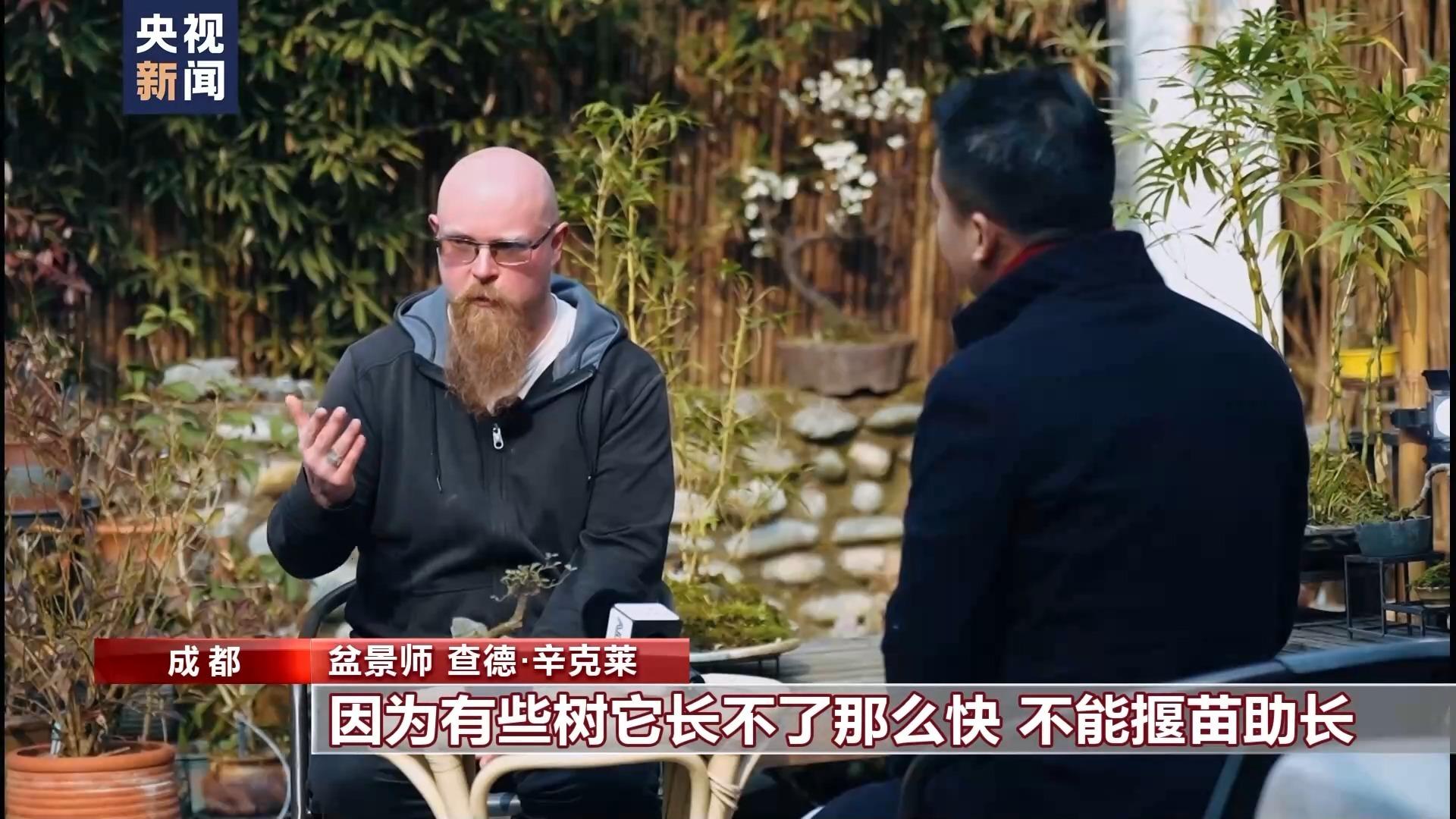 威客电竞爱上中国风丨“盆景迷”查德：与“景”相伴每一天都是美好(图5)