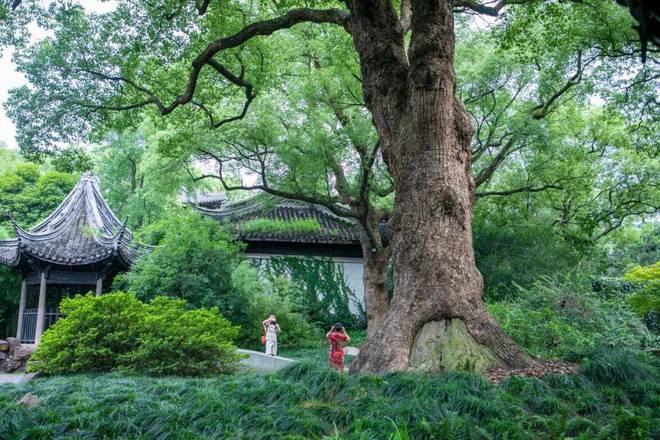 威客电竞中国最美的六大古典园林北京有一座参照无锡而建你去过几个？(图3)