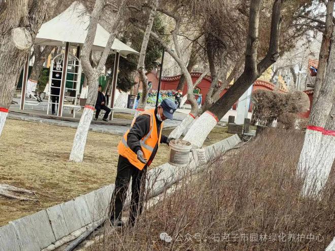 为绿色“加油” 园林绿化养护中心开展绿地施肥复壮工作威客电竞(图2)