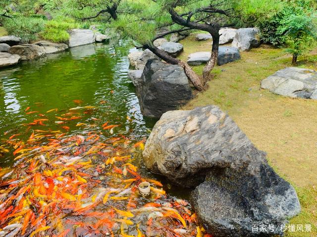 西安古典园林比大唐芙蓉园人少古色古香免费却少有游威客电竞客知！(图2)