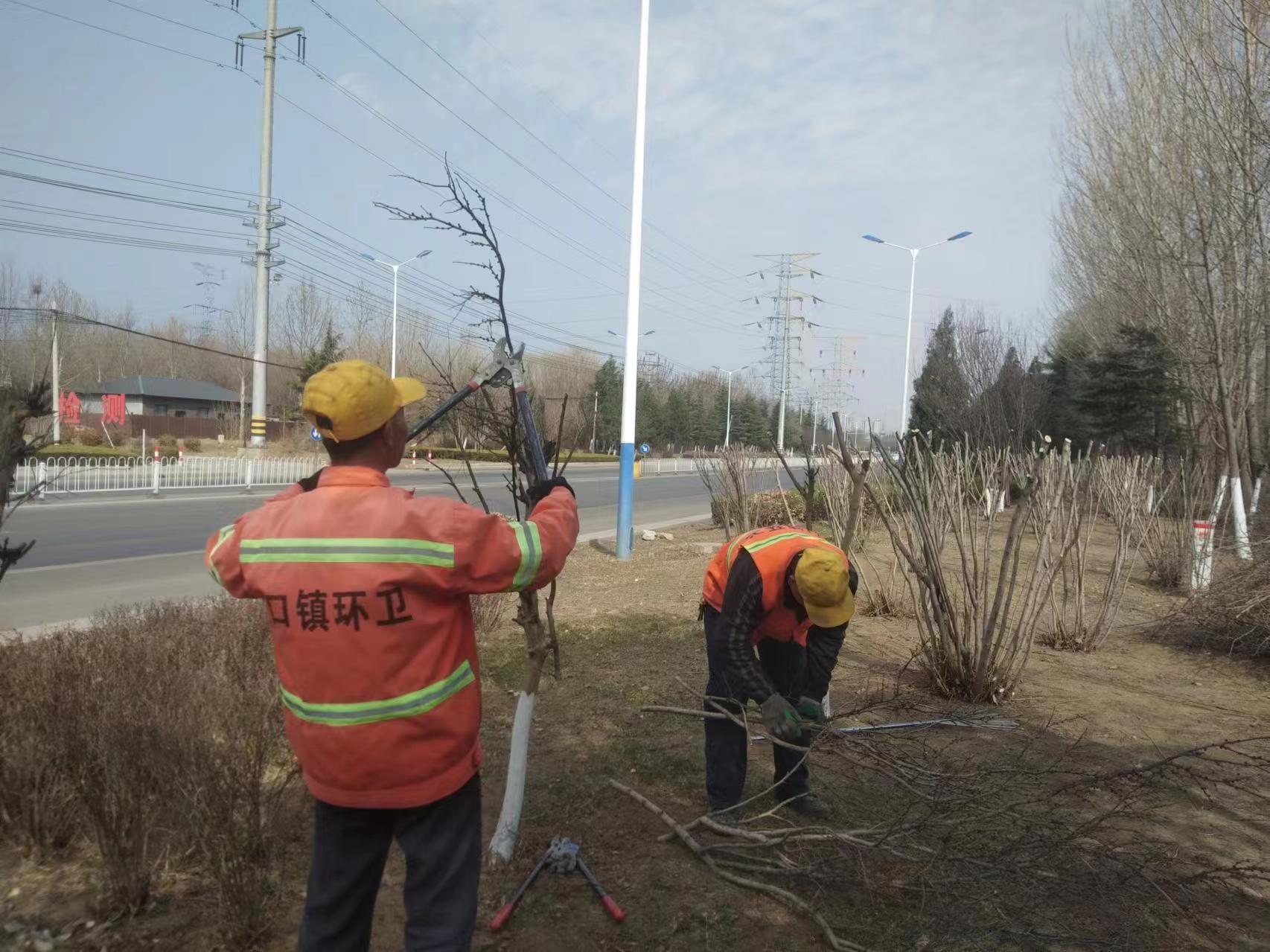 威客电竞【美德信用口镇】口镇街道：花开满径春正好 园林绿化养护忙(图2)