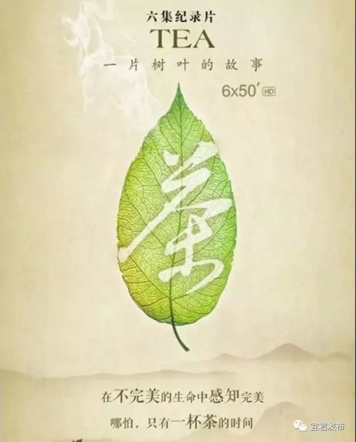 强烈推荐：这16部威客电竞优秀纪录片让孩子暑期充充电！(图15)