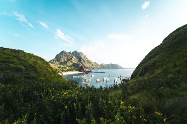 上海绿化施工(请谈威客电竞谈对上海园林的认识)(图1)