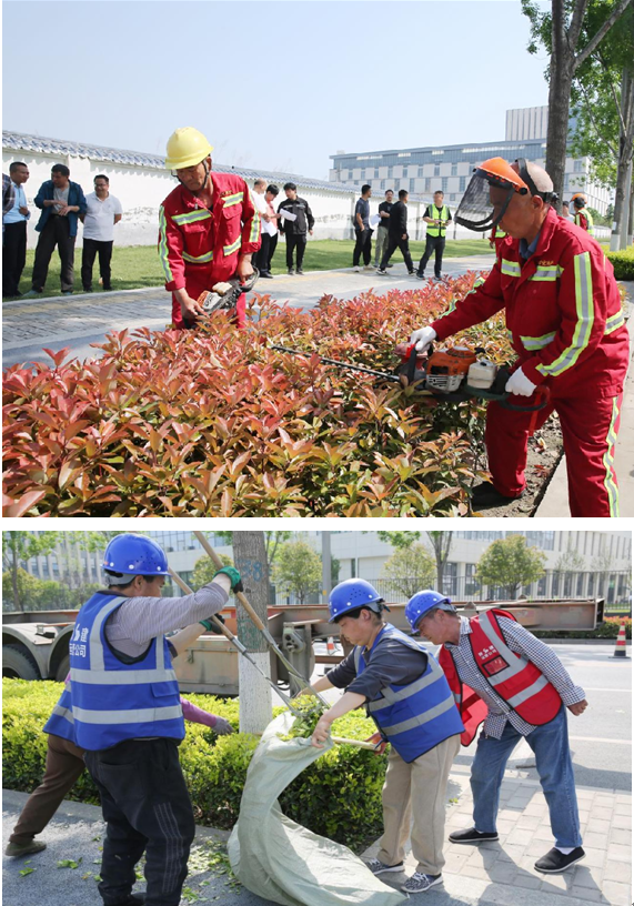 威客电竞西安浐灞国际港基层技能练兵-园林绿化领域绿篱修剪技能比武大赛成功举办(图3)